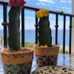 Apartamento Tropicana 1° línea Almuñécar